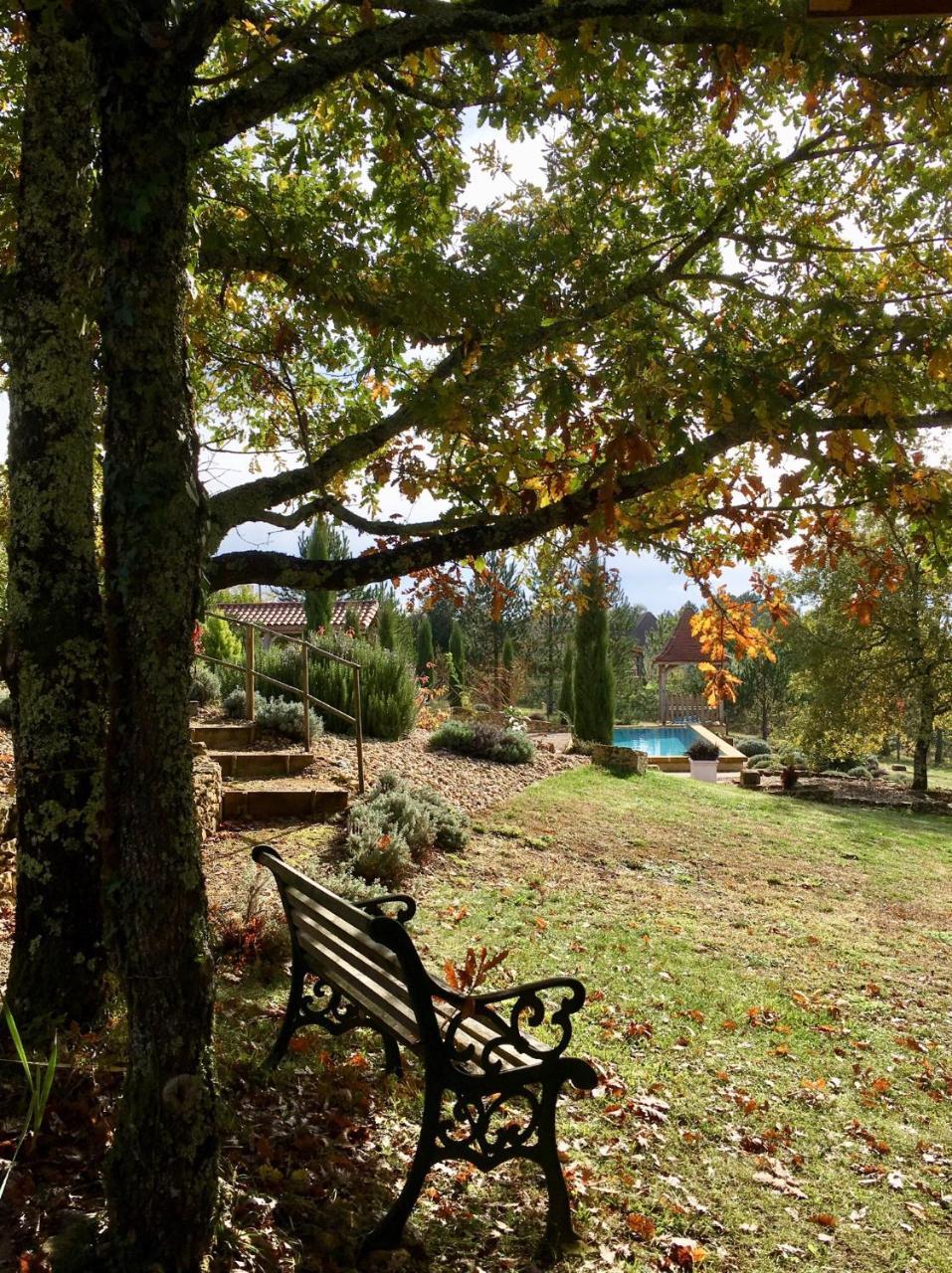 Le Lion D'Or En Perigord Bed & Breakfast Mauzac-et-Grand-Castang Exterior photo